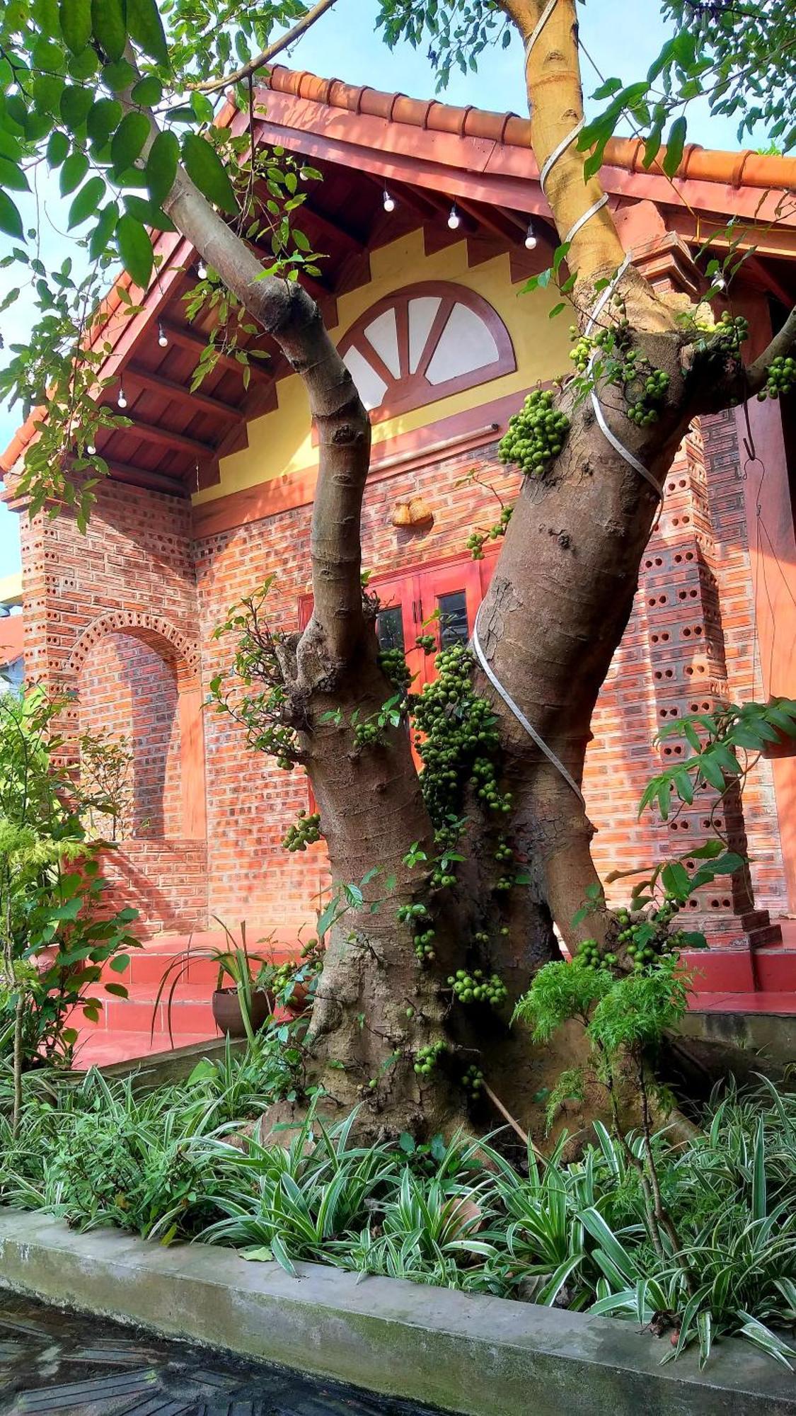 Tam Family Homestay Ninh Binh Exteriér fotografie