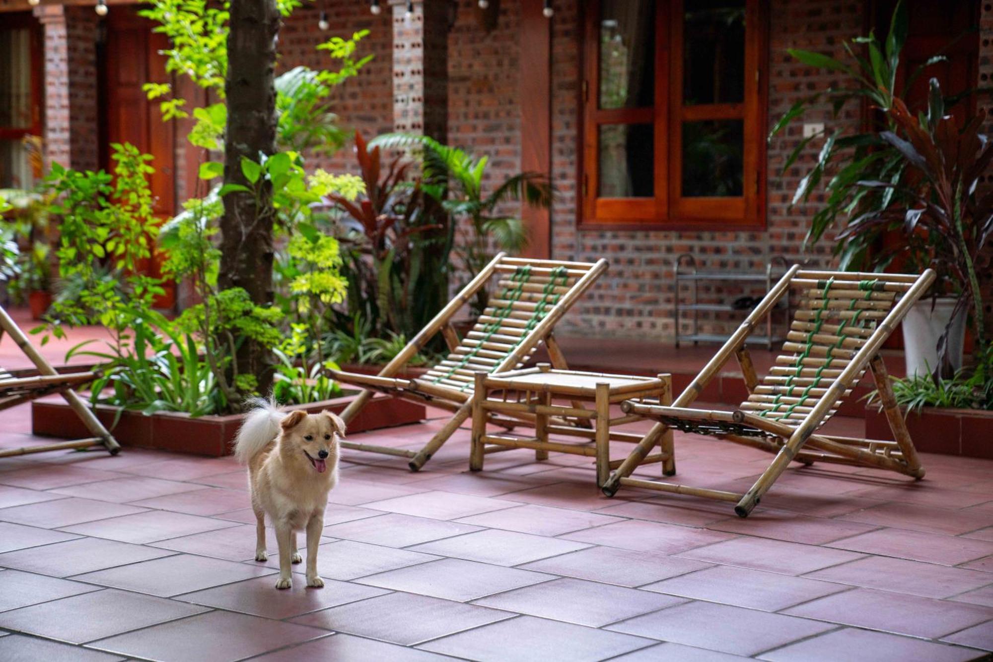 Tam Family Homestay Ninh Binh Exteriér fotografie